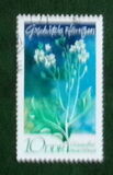 [Protected Plants, type ASQ]