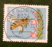 [Honey Bees, type DFS]