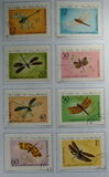 [Dragonflies, type Q]