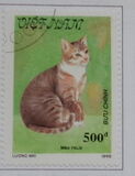 [Cats, प्रकार AUQ]