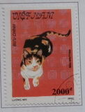 [Cats, प्रकार AUS]