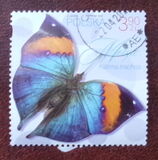 [Insecten - Vlinders, type JWB]
