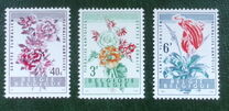 [Gent Flower Festival, type XR]