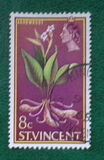 [Queen Elizabeth II and Local Motives, type BL]