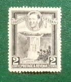 [Local Motives, type AY]