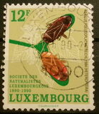 [The 100th Anniversary of the Luxembourg Naturalists Society, 类型 AHT]