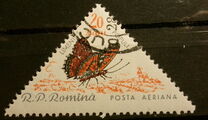 [Butterflies & Moths, type BTH]