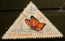 [Butterflies & Moths, type BTI]