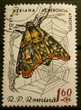 [Butterflies & Moths, type BTK]