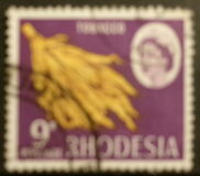 [Local Motives, typ AA]