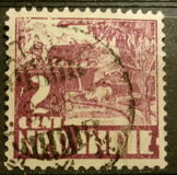 [Rice Field, type AI1]