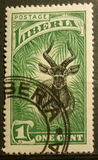 [Local Motifs, प्रकार DT]