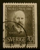 [Premi Nobel 1910, Scrivi KQ]