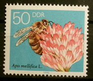 [Honey Bees, type DFU]
