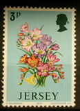 [Spring Flowers, 類型 BR]