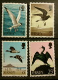 [Seabirds, 유형 CQ]