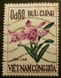 [Flowers, type BT]