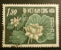 [Flowers, type BV]
