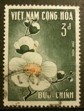 [Flowers, type BW]