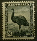 [Definitives, тип AT]