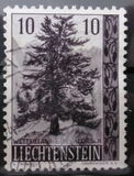 [Trees and Bushes, type KB]
