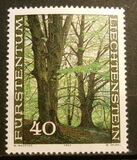 [The Four Seasons of the Forest, tegund ZK]
