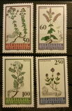 [Flora, type ALI]