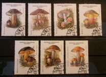 [Mushrooms, Вид APN]