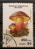 [Mushrooms, Вид APQ]