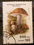 [Mushrooms, Вид APS]