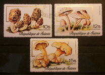 [Airmail - Fungi, Typ RM]