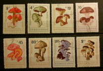 [Mushrooms, type ANP]