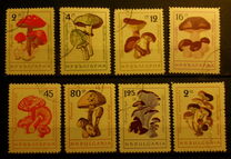 [Mushrooms, type ANP]
