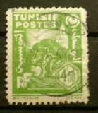 [Mosque and Olive Trees, type AB4]