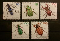 [Youth Hostel - Insects, type BCI]