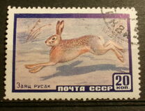 [Fauna of USSR, tip BWD]