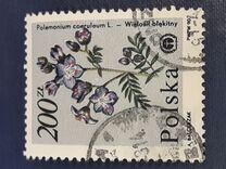 [Protected Plants and Flowers from the Botanical Gardens of Warsaw University, Typ DDM]