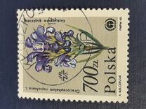 [Protected Plants and Flowers from the Botanical Gardens of Warsaw University, Typ DDN]
