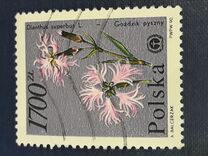 [Protected Plants and Flowers from the Botanical Gardens of Warsaw University, Typ DDR]