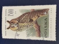 [Owls, typ DEC]