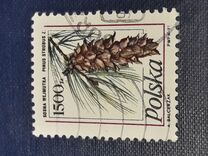 [Stamp Issues for Postcards: Pine Trees, වර්ගය DER]