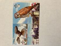 [Bird of the Year - Common Kestrel, type ABO]