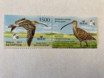 [Bird of the Year - Eurasian Curlew, type ADN]