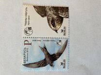 [Bird of the Year - Black Swift, type AFN]