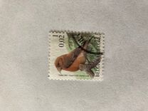 [Birds, タイプ CIH]