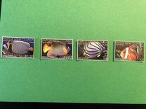 [Marine Life - Reef Fish, 类型 BKK]