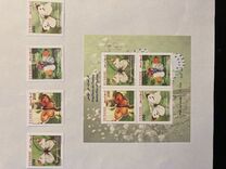 [Butterflies of Tunisia, Tip AZZ]