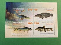 [Fish, type EQ]