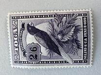 [Local Motifs, type T1]