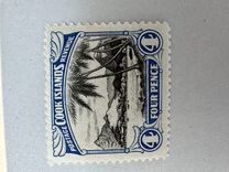 [Local Motifs - Different Perforation, type J1]